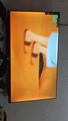 LED 43"