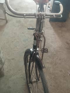 Eagle Bicycle For sale
