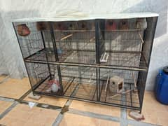 Birds Cage 03244870868