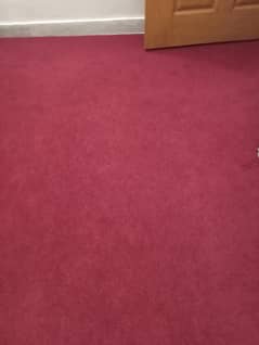 carpet