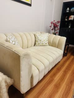 2 seater sofa set for sale