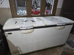 WAVES DOUBLE DOOR FREEZER