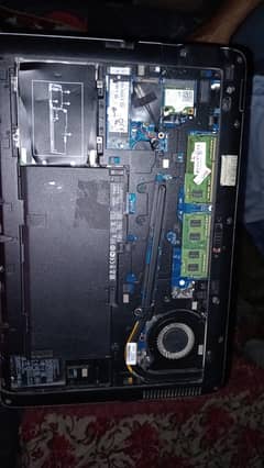 HP