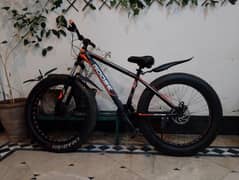 e- bike