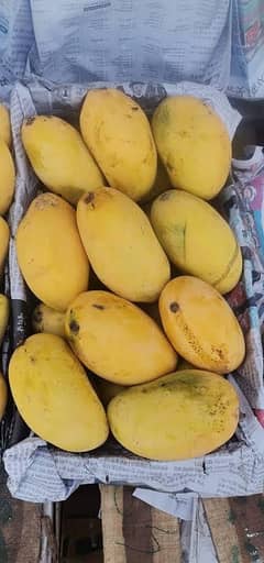 Multani Export Quality Mango.