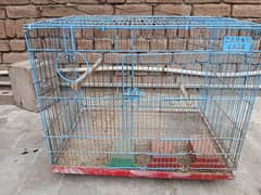 Birds Cage