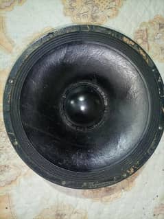 black widow sapekar
