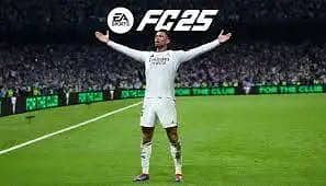 Fc
