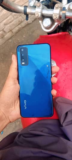 vivo