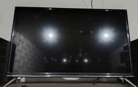 simple LCD one year use