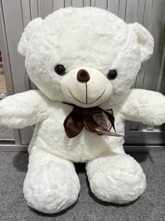 Teddy bear new
