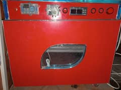 80 egg automatic incubator