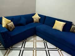 brand molty foam