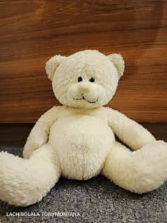 HIGH QUALITY TEDDY BEAR FOR CHILDREN, IMPORTED SINGLE USED