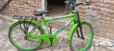 Mountain Bike