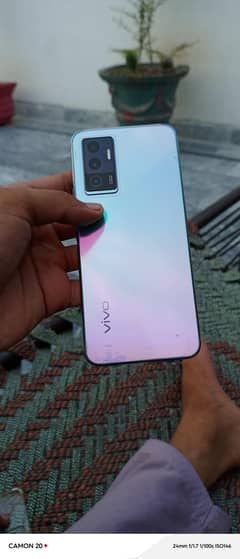 vivo