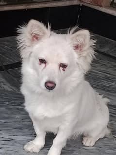 for