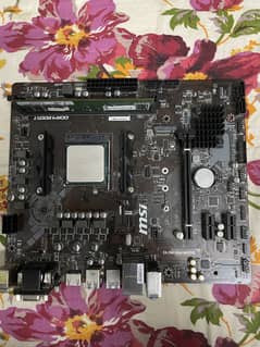 AMD