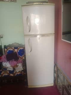 used fresh condition