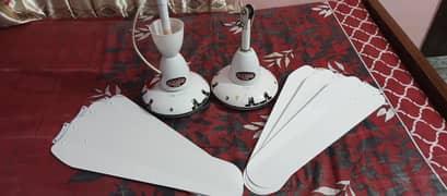 2 Rado Ceiling fans