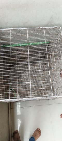 Cage in good condition