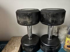 Dumbbells 10 Kg 2