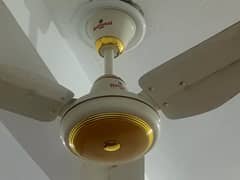Celling