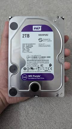 WD