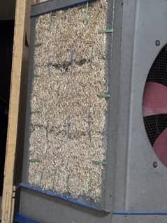 Air cooler 10 by 9.5. condition  with stand are available