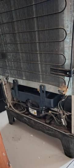 Fridge For Sell,  Total Geniune Condition without any repair