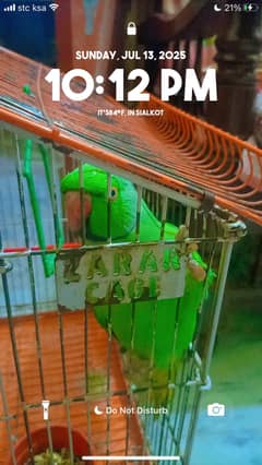 Bolny