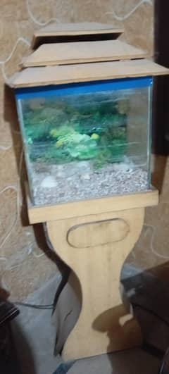 fish aquarium in use