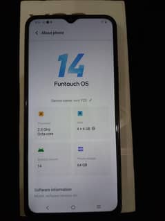 Vivo