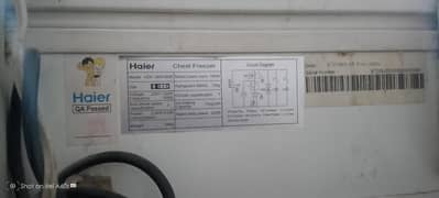 Haier