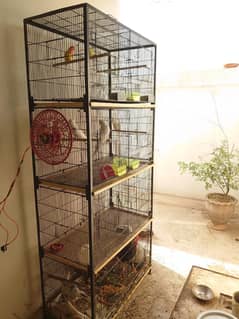 cage for sale