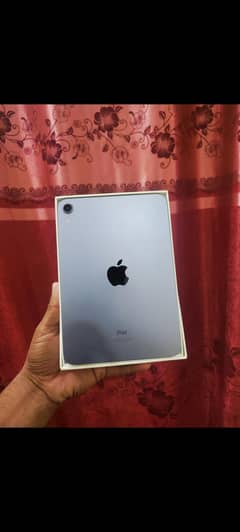 iPad mini 6