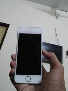 iphone 5s