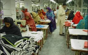 Male And Female Staff Required