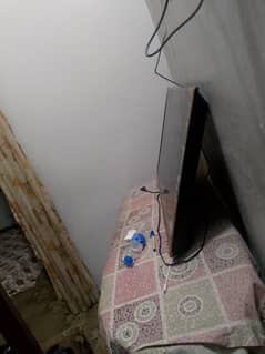 Haier