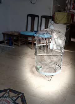 cage in good condition