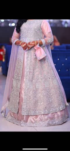 walima maxci