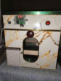 30 eggs incubator