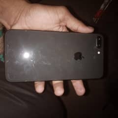 cstar8529@gmail.