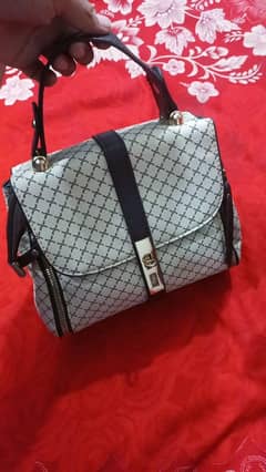 ladies purse