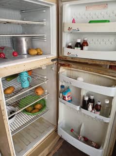 frige