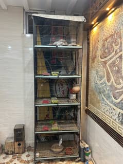 Birds cage