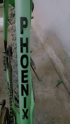 cycle