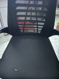 Office Study / Revolving Chair