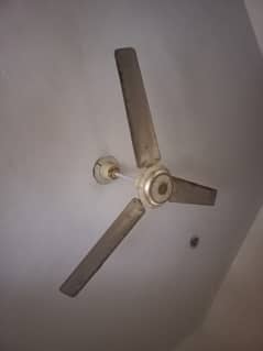 Sartaj celing fan