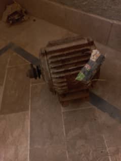 Donkey motor